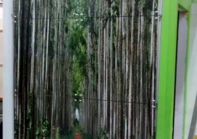 img_20150306_133555362